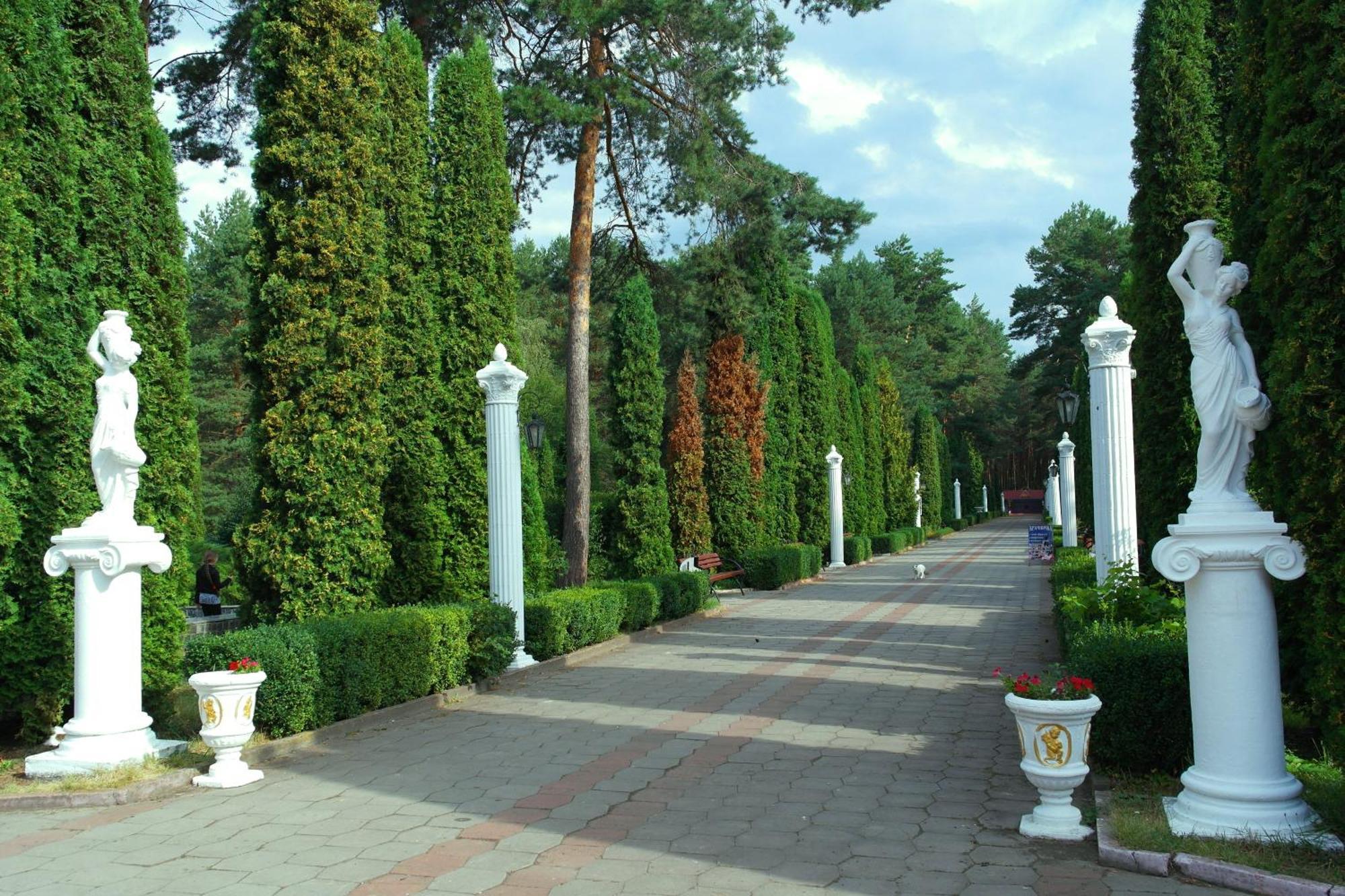 Санаторій Червона Калина Zhobryn Exterior photo
